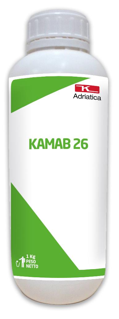 KAM26