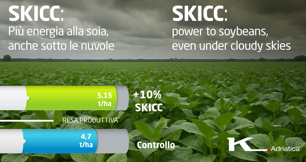 skicc soia.jpg